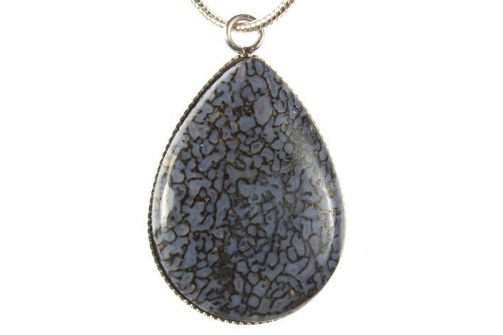 Dinosaur Bone (Gembone) Pendant - Includes Chain #327642